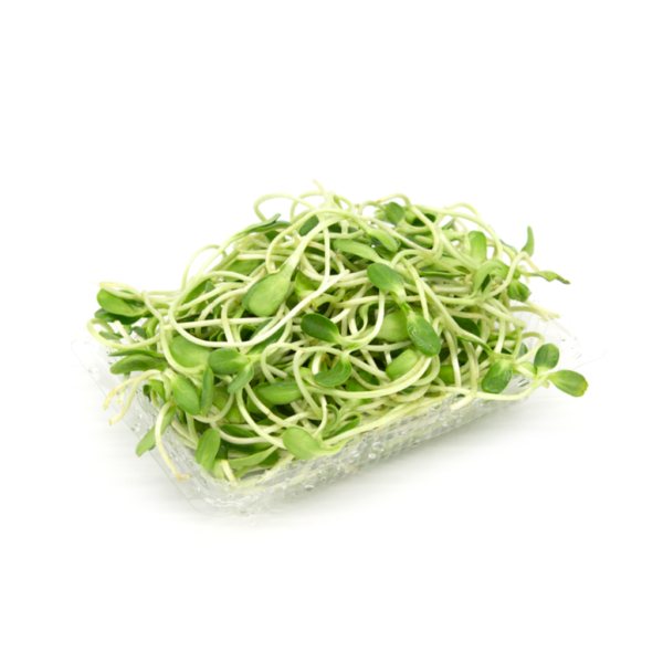 Sunflower sprouts